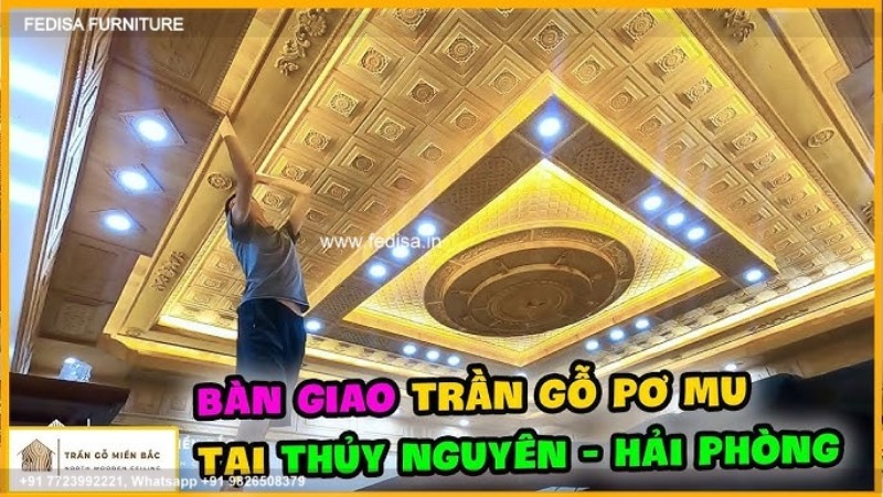 Luxury New Pop Design Classic Japanese Ceiling Design