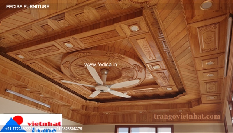 Classical Pop Design 2050 Luxury Tiny House Ceiling Ideas