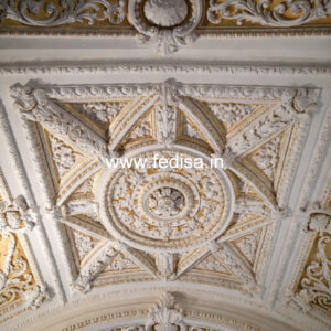 Carved Ceiling Design Murga Jali False Ceiling Price No-2953